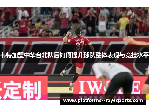 韦特加盟中华台北队后如何提升球队整体表现与竞技水平